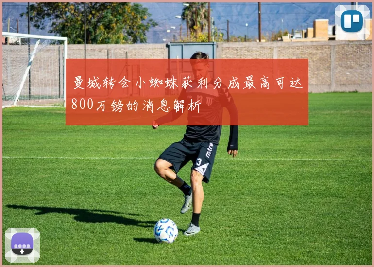 曼城转会小蜘蛛获利分成最高可达800万镑的消息解析
